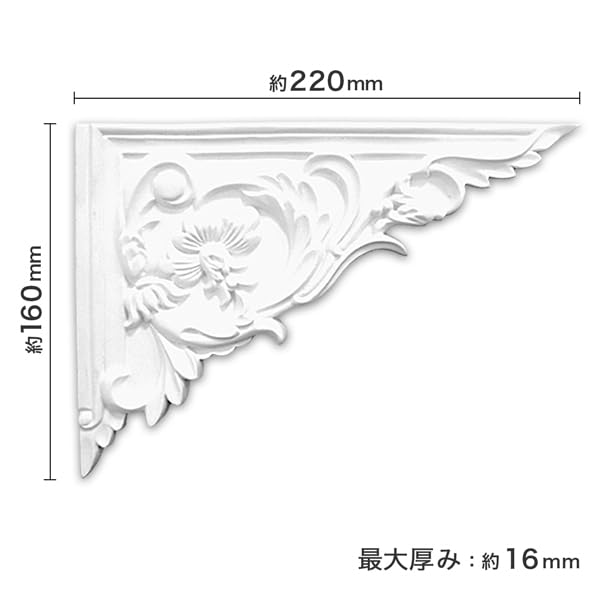 【ハル】JSTA セミオーダー品 000000032677_3ExqirP.jpg